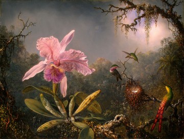 Cattelya Orchid Three Brazilian Hummingbirds Martin Johnson Heade Oil Paintings